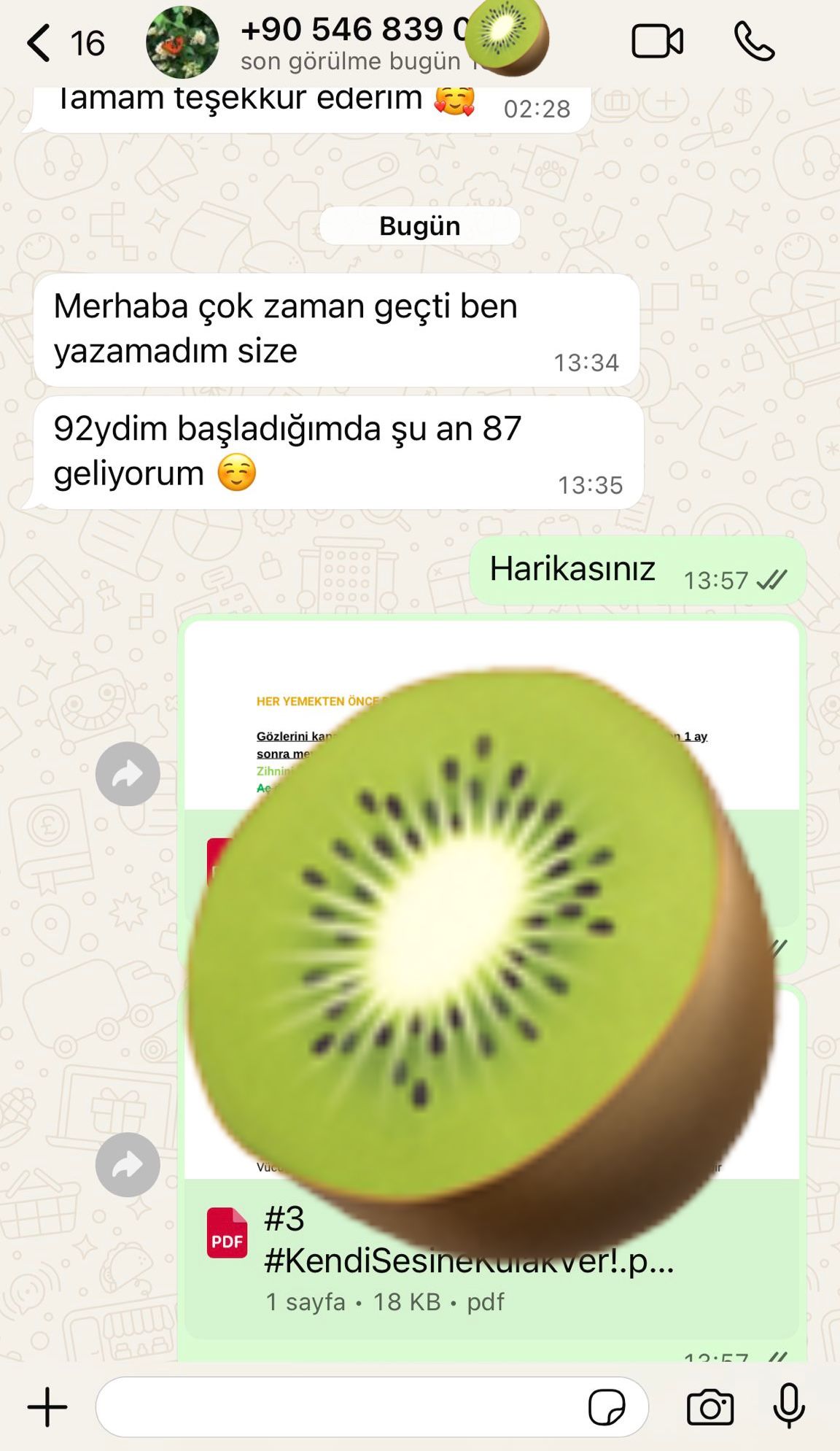 WhatsApp Konuşması 7
